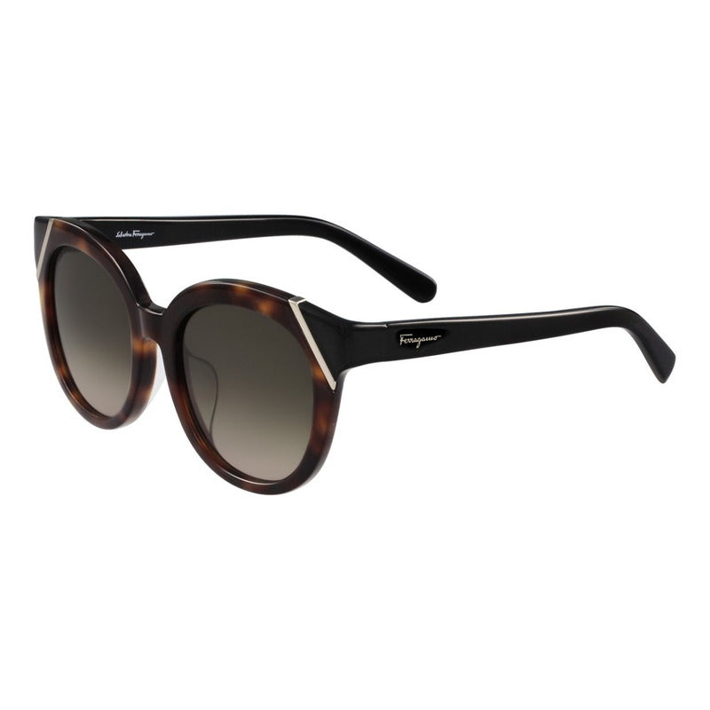 Lentes De Sol Ferragamo Sf836sa Contrast Cat Eye 53mm Suns