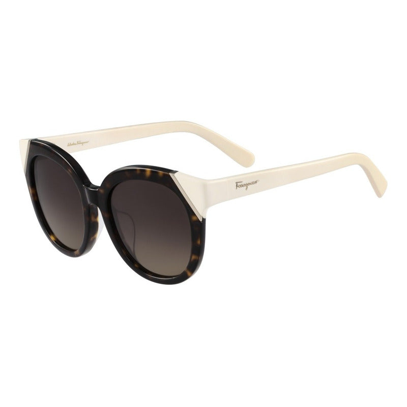 Lentes De Sol Ferragamo Sf836sa Contrast Cat Eye 53mm Suns