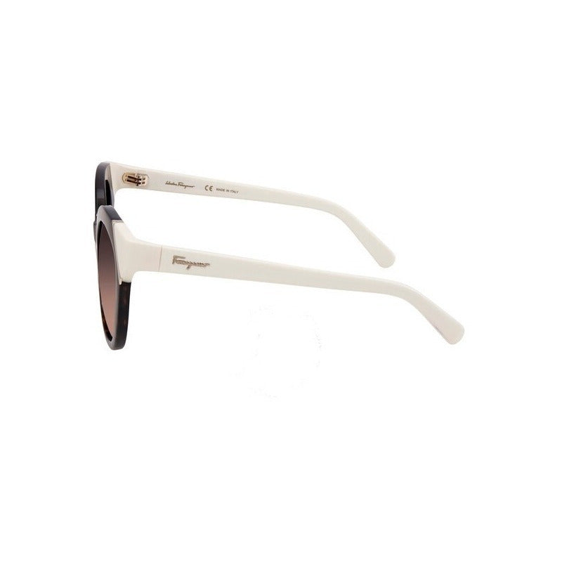 Lentes De Sol Ferragamo Sf836sa Contrast Cat Eye 53mm Suns
