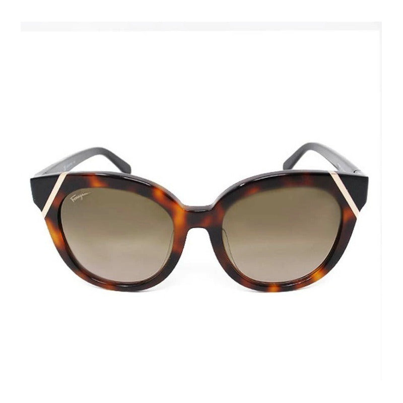 Lentes De Sol Ferragamo Sf836sa Contrast Cat Eye 53mm Suns